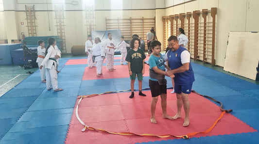 How Judo Helped Turn a Friuli Mosaic School into a Space for Inclusion - Image: IJF / International Judo Federation